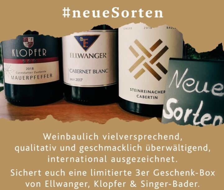 Produktfoto - Limitiertes 3 er Paket 44.- Euro International ausgezeichnete Weine von den Remstäler Weingütern B.Ellwanger+Klopfer+Singer-Bader aus der Linie Geschenk von Singer x Bader aus Korb, Stetten