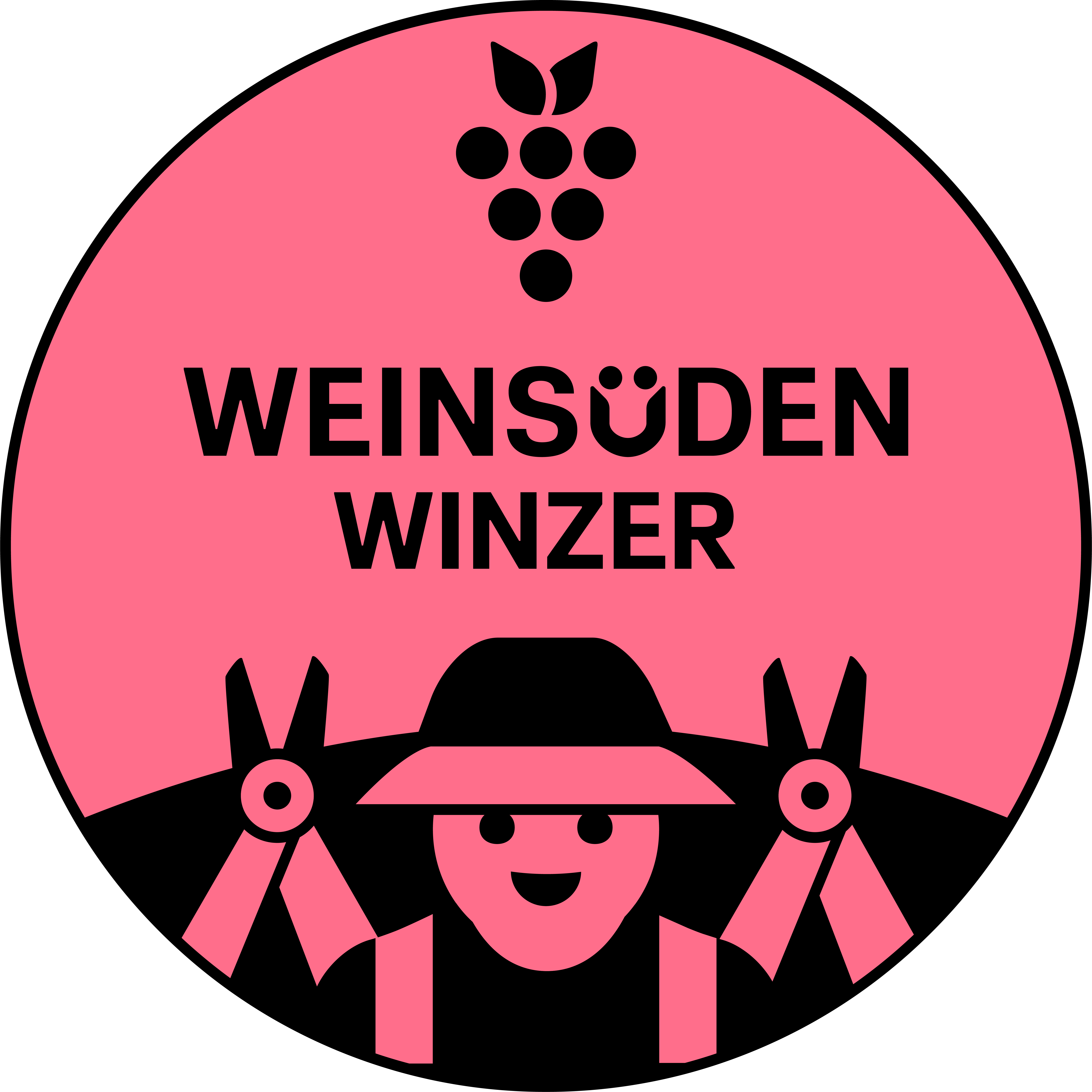 Logo Weinsueden Winzer